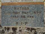image of grave number 558365